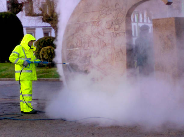 Best Pressure Washing Driveway  in Winfield, MO
